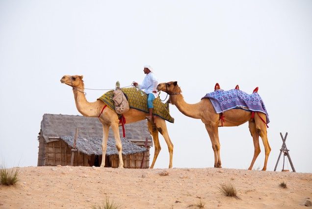 dubai_image3